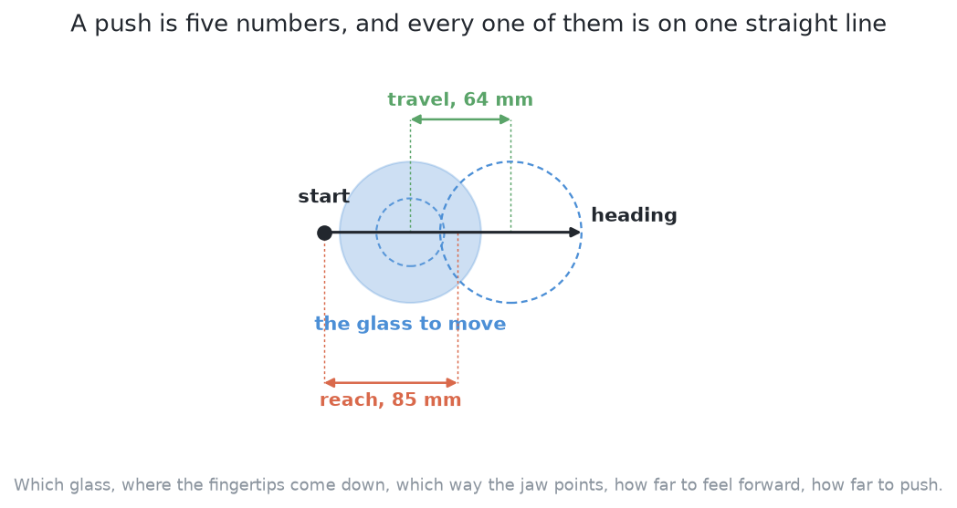 One glass, with the five numbers of a parameterised push marked on it: where the fingertips come down, which way the jaw points, how far forward it feels, and how far the glass travels, all of them on the same straight line.