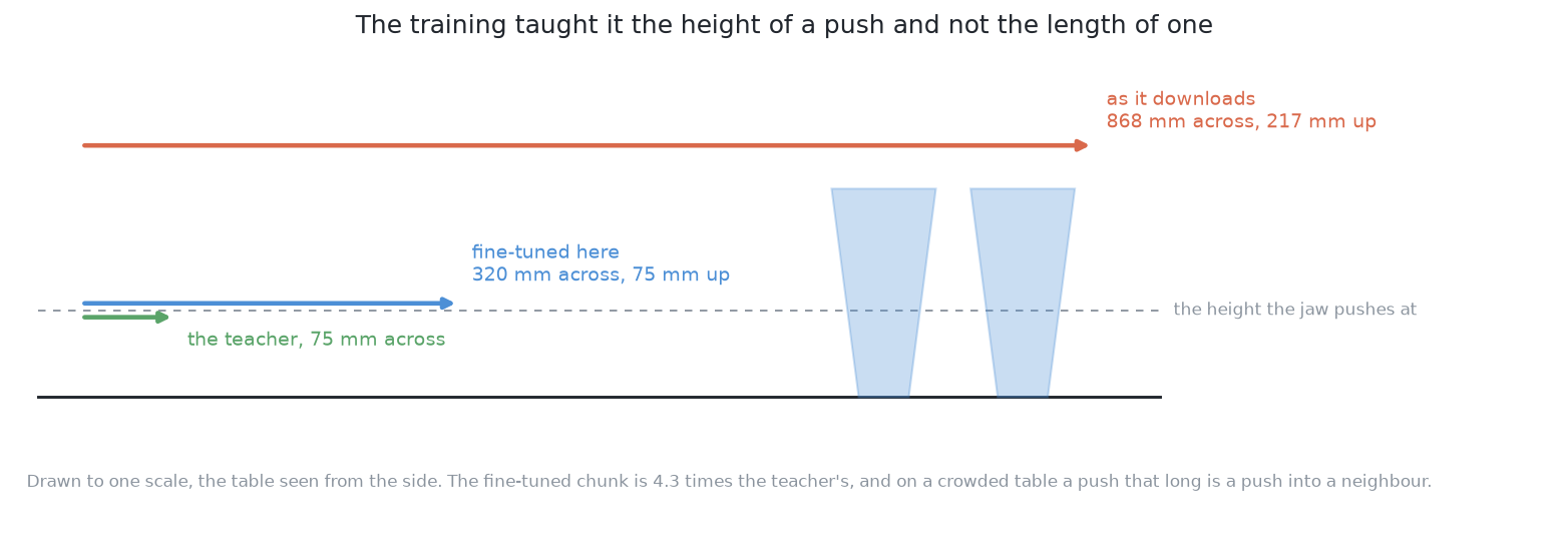 The same table seen from the side with three chunks drawn on it: the borrowed model's, which stays 217 mm up and runs 868 mm across, the fine-tuned model's, which comes down to the 75 mm the jaw pushes at but still runs 320 mm across, and the teacher's, which is at the same height and 75 mm long.