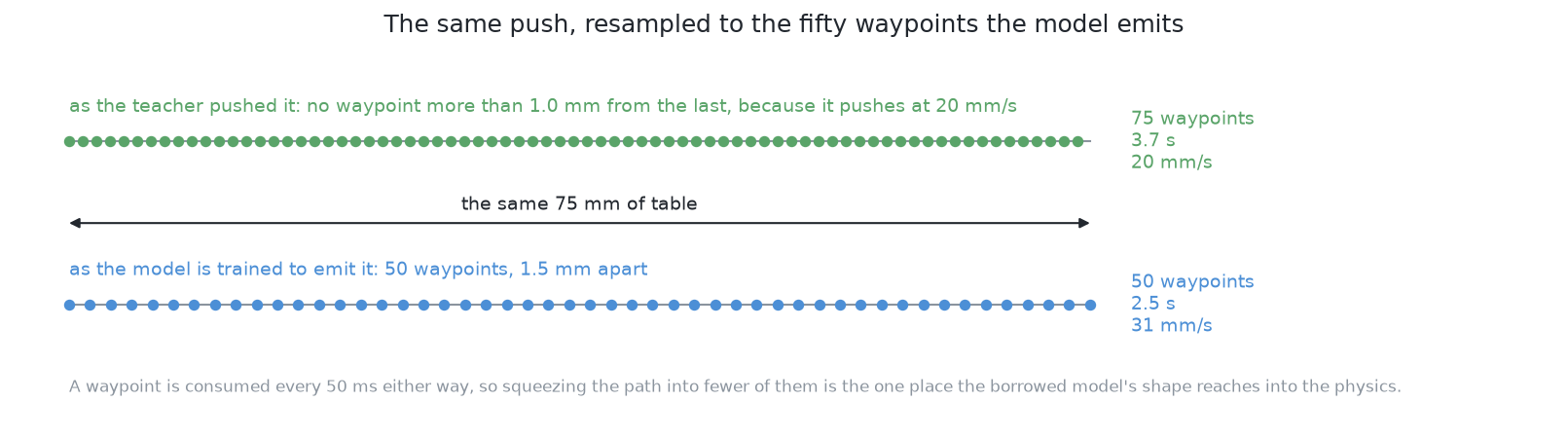 One recorded push of 75 mm drawn twice: as the teacher made it, where no waypoint is more than 1.0 mm from the last because the teacher never pushes faster than 20 mm/s, and as the fifty waypoints the model is trained to emit, 1.5 mm apart, which the examiner eats at the same rate and therefore carries out at 31 mm/s.