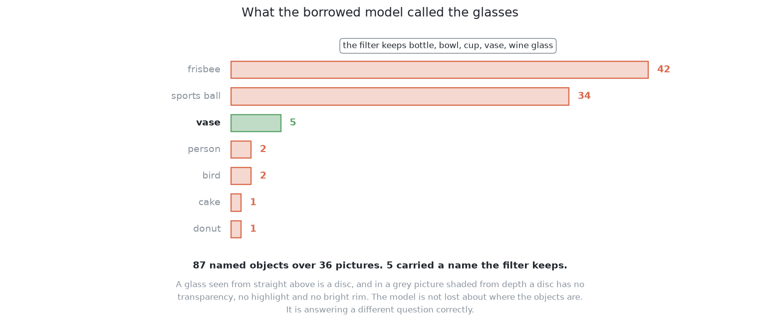 Every name the borrowed model offered over 36 held-out pictures, with the five names the filter accepts marked: the model's answer to a glass seen from above is a sports ball or a frisbee, so only five of its 87 named objects survived the filter at all.